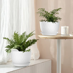 3pcs 12" Plastic Planters with Trays by Snagg A Pot