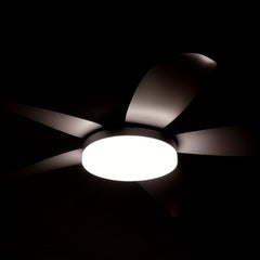 52" Outdoor Ceiling Fan with Light & Remote by Snagg A Fan