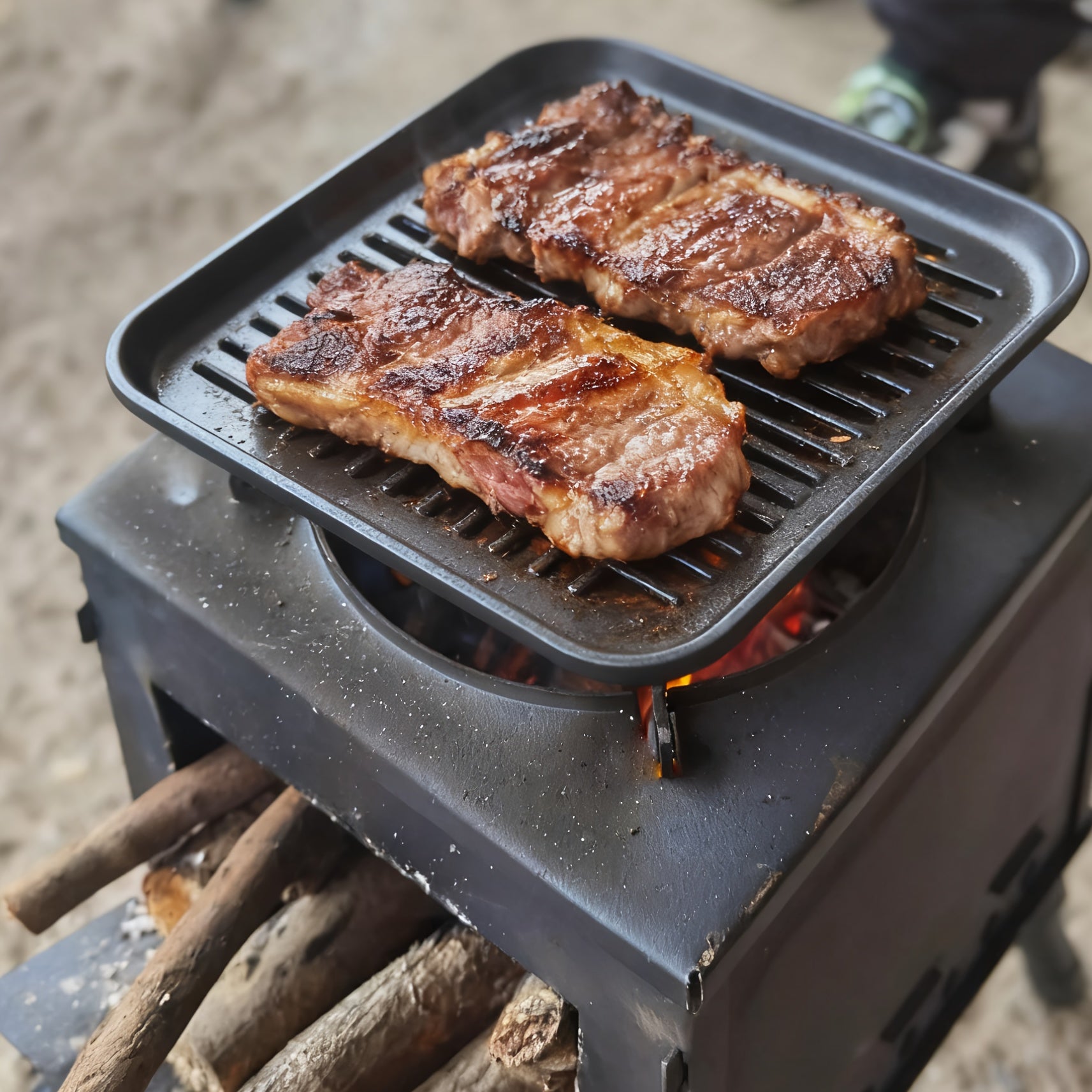 Outdoor Camping Folding Portable Firewood Stove by Snagg A Stove