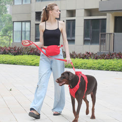 Corduroy Dog Walking Set - SnaggIt