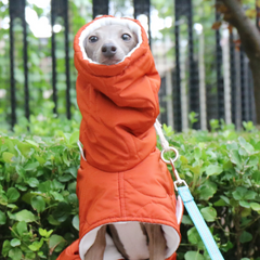 Winter Quilted Turtle Neck Dog Coat